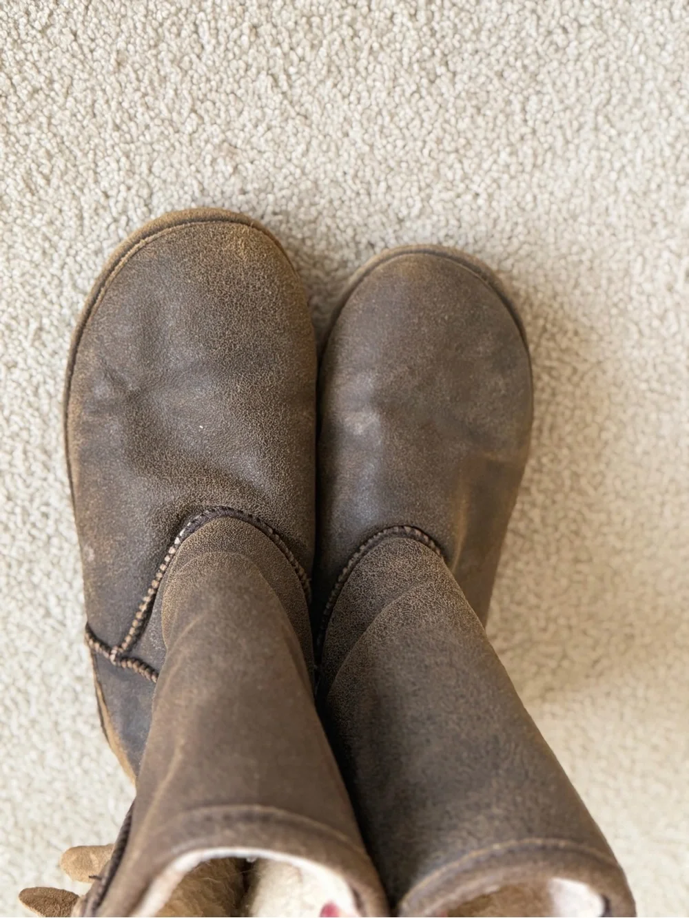 Bearpaw Boshie Brown Knit-Accent Mid-Calf Boots